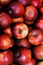 _blerside4_08-01-2011_Q6AU97B.jpg