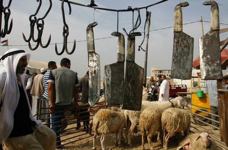 BLOKADE. Palæstinensere på marked i byen Rafah i Gaza. Israel forsøgte før Gazakrigen at holde landets økonomi på randen af sammenbrud, viser WikiLeaks-dokumenter. 