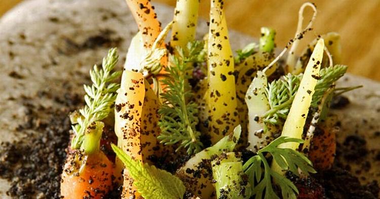 NOMA har sat fokus på København som gourmetrejsemål. 