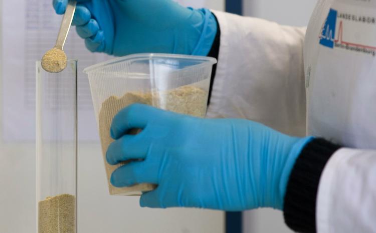 Dioxin i dyrefoder er blevet afsløret som kilde til for højt indhold af miljøgiften i tyske kød og æg. Det får alarmklokkerne til at ringe hos myndigheder og forbrugere, for dioxin ophobes i fødekæden og øger blandt andet risikoen for kræft. 