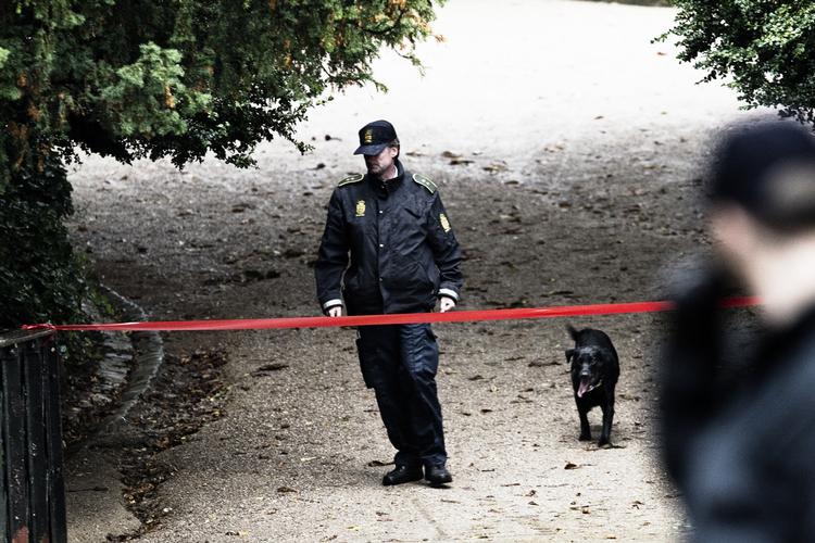 Efterforskning. Politiet gennemsøgte den nærliggende Ørstedsparken efter bombesprængningen på Hotel Jørgensen. 