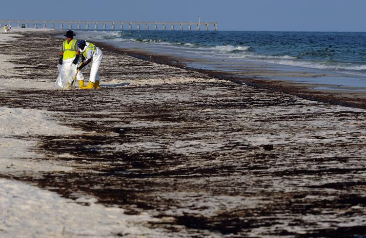 FORURENING. Olieplamager drev i land i langs USA's sydkyst efter BP-ulykken som her i Florida. 