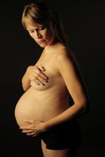 Gravid