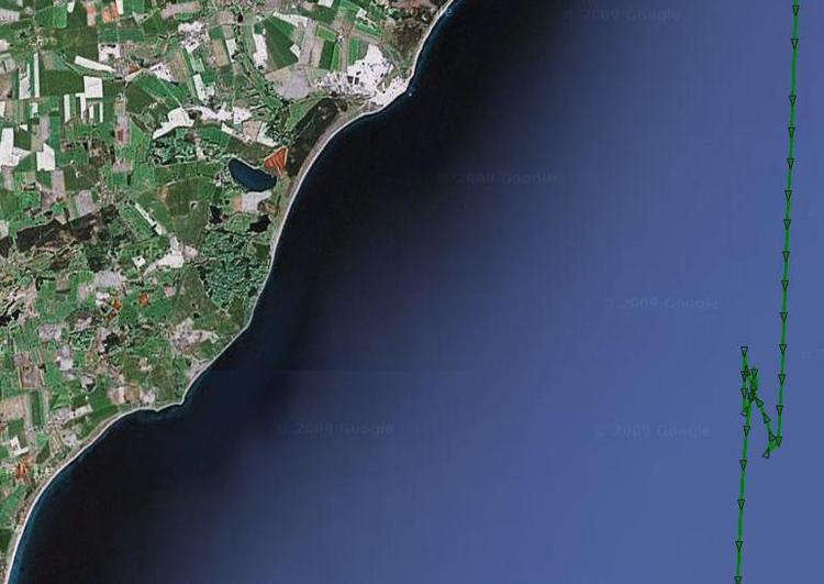Havsnød. På skibsmonitoreringssiden Marinetraffic.com kan man se, hvor det svenske skib Vinga kredsede rundt for at finde overlevende - den grønne streg viser skibets færd. 