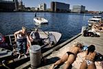 Pyh. Solbadere på havnebadet ved Islands Brygge i København i august sidste år. 