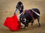 Dø. Tyrefægtning deler vandene. Her er det den franske matador Sebastian Castella, der fælder en tyr ved San Fermin-fiestaen i Pamplona 2010. 