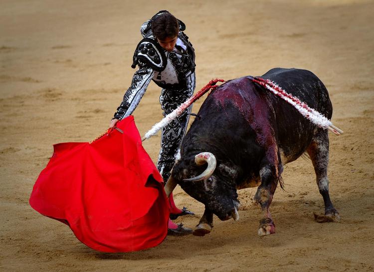 Dø. Tyrefægtning deler vandene. Her er det den franske matador Sebastian Castella, der fælder en tyr ved San Fermin-fiestaen i Pamplona 2010. 