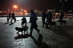 Russia Airport Blast