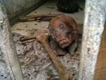 Mideast Egypt Protest Antiquities