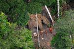 Gemt. Indianerstammen bor i Amazonas på grænsen mellem Peru og Brasilien. Foto: Gleison Miranda/FUNAI/Survival. 