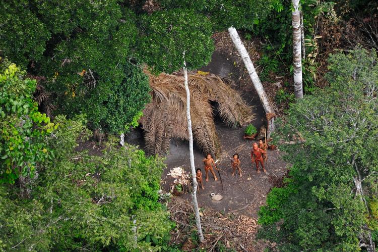 Gemt. Indianerstammen bor i Amazonas på grænsen mellem Peru og Brasilien. Foto: Gleison Miranda/FUNAI/Survival. 