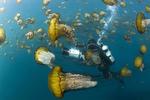 oceans01_03-02-2011_TLB53KP.jpg