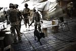 Afghanistan