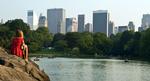 RØGFRI. Til sommer er det forbudt at ryge i New Yorks parker og på byens strande. 