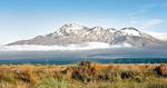 TRÆKPLASTER. I New Zealand håber man, at den kommende film om Hobbitten vil trække turister til i hobetal. 