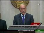 Styre. Vicepræsident Omar Suleiman vil have demonstranterne i Egypten til at gå hjem. 