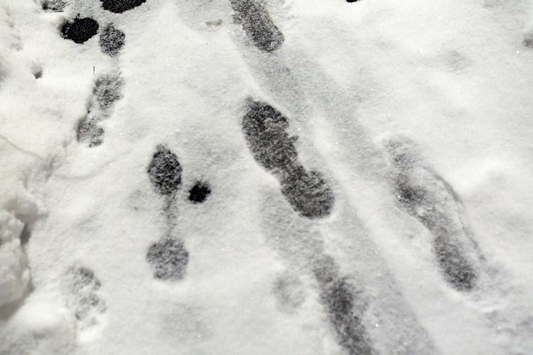 kulde. Det vil føles rigtig kolde i dag - og ind i næste uge. Enkelte steder bliver kulden akkompagneret af et par centimeter sne. Arkivfoto 