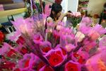roser. En blomsterhandler i Malaysias hovedstad Kuala Lumpur pakker roser, som hun håber at sælge i dag på Valentinsdag. Myndighederne i landet har ellers indledt en storstilet kampagne mod fænomenet, som betegnes som »en fælde til umoralsk adfærd«. 
