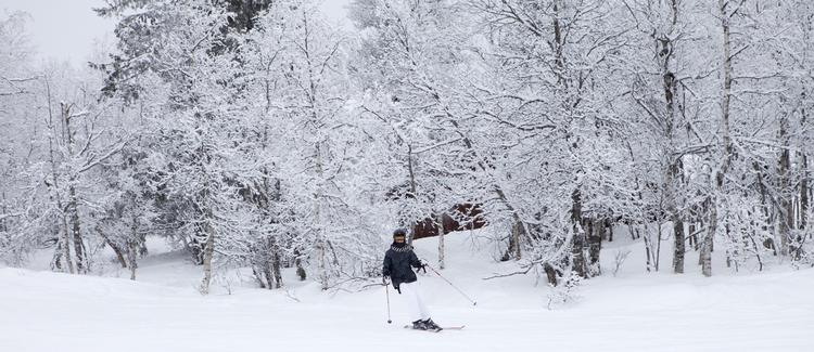 ferietid. Det kan være en kold fornøjelse at være på skiferie i Skandinavien i disse dage. Flere steder ligger krydres lave temperaturer med en frisk vind, og så gælder det om at være på vagt i forhold til at få forfrysninger. Arkivfoto. 
