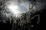 vintersol. Solen kommer til at skinne i morgen, og temperaturen - særligt om natten - falder. 