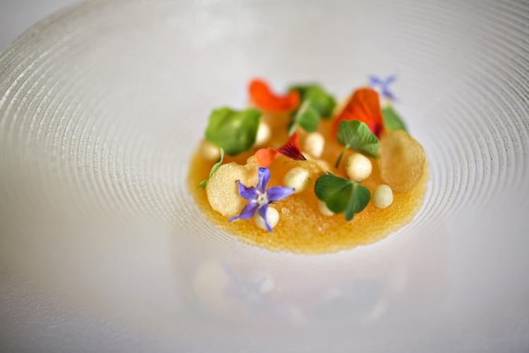 På menuen i Dragsholm Slot finder man bl.a. let 'geleret' kartoffelsuppe med skovsyre og løjrom. 