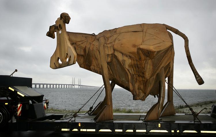 Kunstko. Redaktionen forsøger at holde sig helt neutral i diskussion om god eller skidt kunst, men skulle alligevel finde et billede til kategorien. Og det blev kunstneren Bernhard Lipsøes kæmpestore skrotko 'Koen', der i 2007 blev udstillet ved Galleri Tapper-Popermäjer i den skånske by Teckomatorp. Her er koen fotograferet under transporten over Øresundsbroen. Den er da meget sød. 