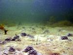 minus_s_gr_s_ny_04-03-2011_9EBBE48.jpg