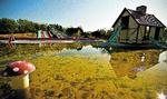 Forlystelsespark. Danmark. Alger og mos dækker forlystelserne, og den vej går det for mange af den slags steder, som dør i konkurrencen om moderne menneskers tid. 