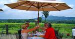 Raffaldini-Vineyards_web