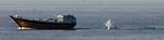 Piracy Arabian Sea