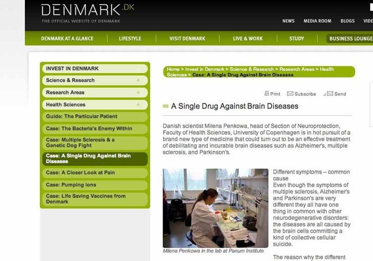 Hjemmeside. Milena Penkowa står som solstrålehistorie for dansk hjerneforskning på Udenrigsministeriets 'Official webpage of Denmark'. Her ses et screendump af hjemmesiden. 