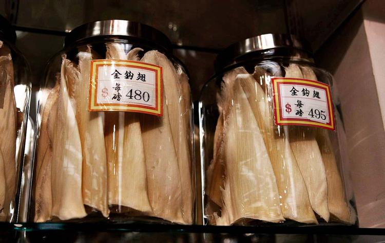 Kinesere bosiddende i Californien er stærkt utilfredse med, at myndighederne vil beskytte hajbestanden ved at forbyde blandt andet salg af hajfinner. 