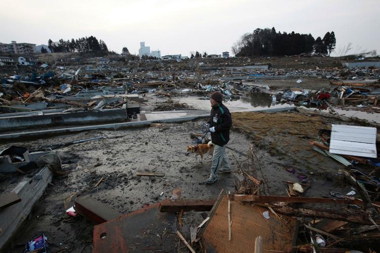 oversvømmet. Landsbyen Rizukentakada i Iwate-distriktet i det nordlige Japan er så godt som udslettet efter tsunamiens hærgen. Her går en mand tur med sin hund gennem den ødelagte by. 