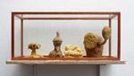 Voksfigurer. Sære klumper, der minder om paddehatteskyer, koraller, en nisse og et hoved med betændelse i øjnene i Emil Westman Hertz' 'Vitrine' fra 2011. Foto: Anders Sune Berg 