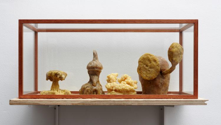 Voksfigurer. Sære klumper, der minder om paddehatteskyer, koraller, en nisse og et hoved med betændelse i øjnene i Emil Westman Hertz' 'Vitrine' fra 2011. Foto: Anders Sune Berg 