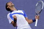 Formstærk. Novak Djokovic er nu nummer to på verdensranglisten, hvor kun Rafael Nadal er foran ham. 