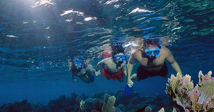 PARADIS. Der gemmer sig en helt anden verden under overfladen med maske og snorkel. 
