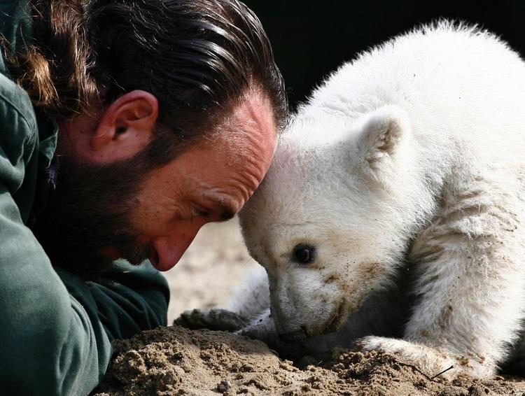 Marts 2007. Dyrepasseren Thomas Doerflein måtte dengang fodre Knut med sutteflaske samt lege med den, efter at dens mor havde afvist den. 