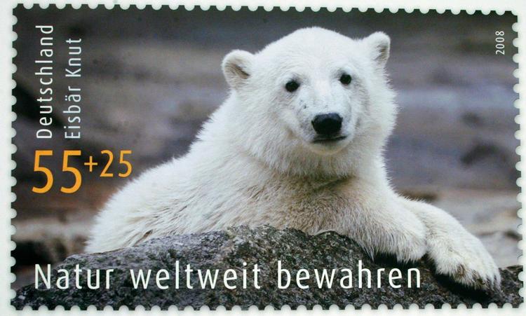 April 2008. Knut kommer på tysk frimærke. 