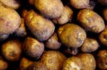 Kartofler