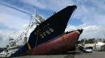 Tsunami. Jordskælvet ud for Japans kyst lavede enorme ødelæggelser. 