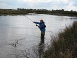 Fiskeri