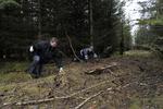 Forsvundet. Politiet regner ikke med, at der ligger en forbrydelse bag en treårig drengs forsvinden i Nordjylland. 