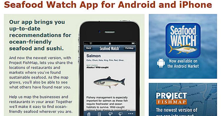 FISK og skaldyr verden over er truet af udryddelse. Ny app hjælper dig til at spise bæredygtigt. 