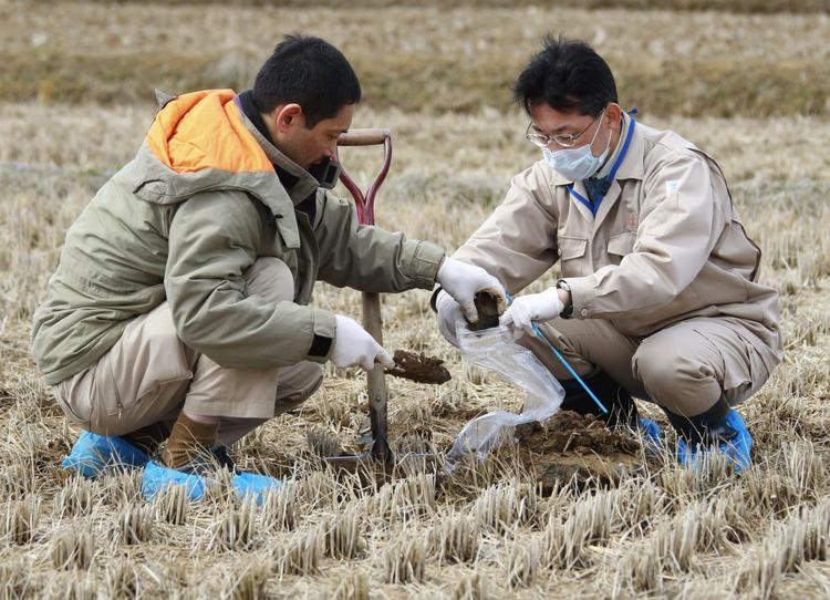 Jordprøver. Et par sikkerhedsarbejdere fra Fukushima undersøger jorden på en rismark. FN's atomenergiagentur, IAEA, foreslår nu, at udvide sikkerhedszonen til 40 kilometer omkring det løbske atomkraftværk. 