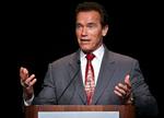 Governator. »Men hvis jeg kunne være blevet præsident, ville tegneserien kun være plan B«, siger eksguvernør Schwarzenegger. 