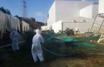 Eksperiment. Arbejdere på Fukushima-værket forsøger sig med at sprøjte en blanding af syntetisk harpiks ud over området ved Fukushima-værket. Den klistrede blanding skal stoppe radioaktive partikler fra at flyve med vinden og ud i landskabet. 