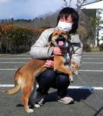 Gensynsglæde. Hunden Ban var glad for at blive genforenet med sin ejer Onodera. 