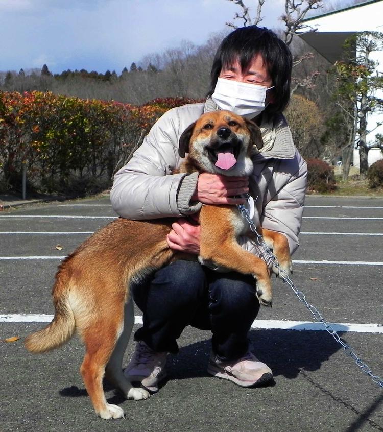 Gensynsglæde. Hunden Ban var glad for at blive genforenet med sin ejer Onodera. 