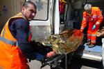 reddet. En overlevende køres ind i en ambulance. 